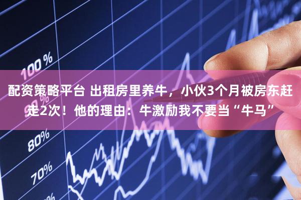 配资策略平台 出租房里养牛，小伙3个月被房东赶走2次！他的理由：牛激励我不要当“牛马”
